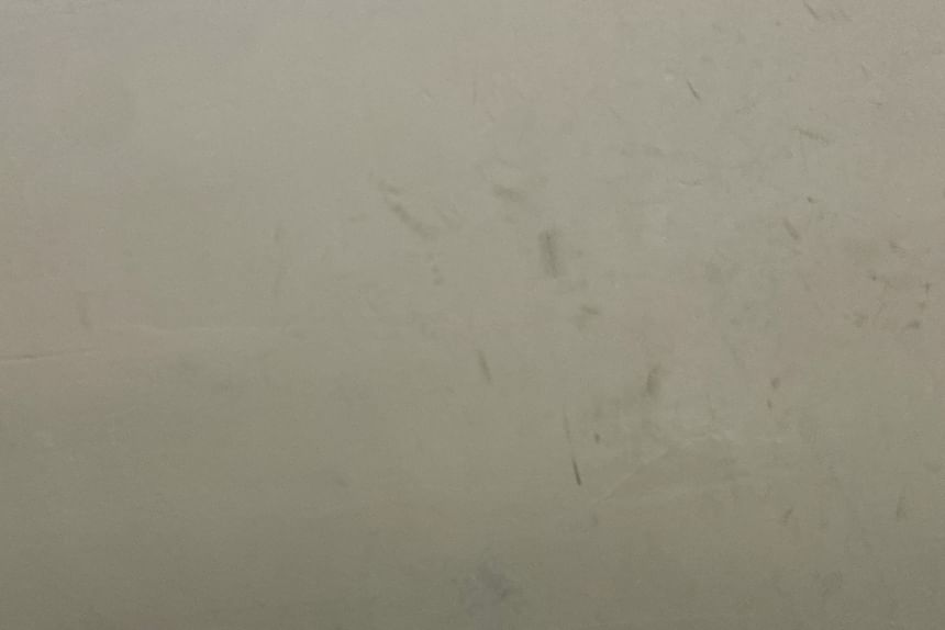 Leopard Slingback Print Heel Mules Kitten