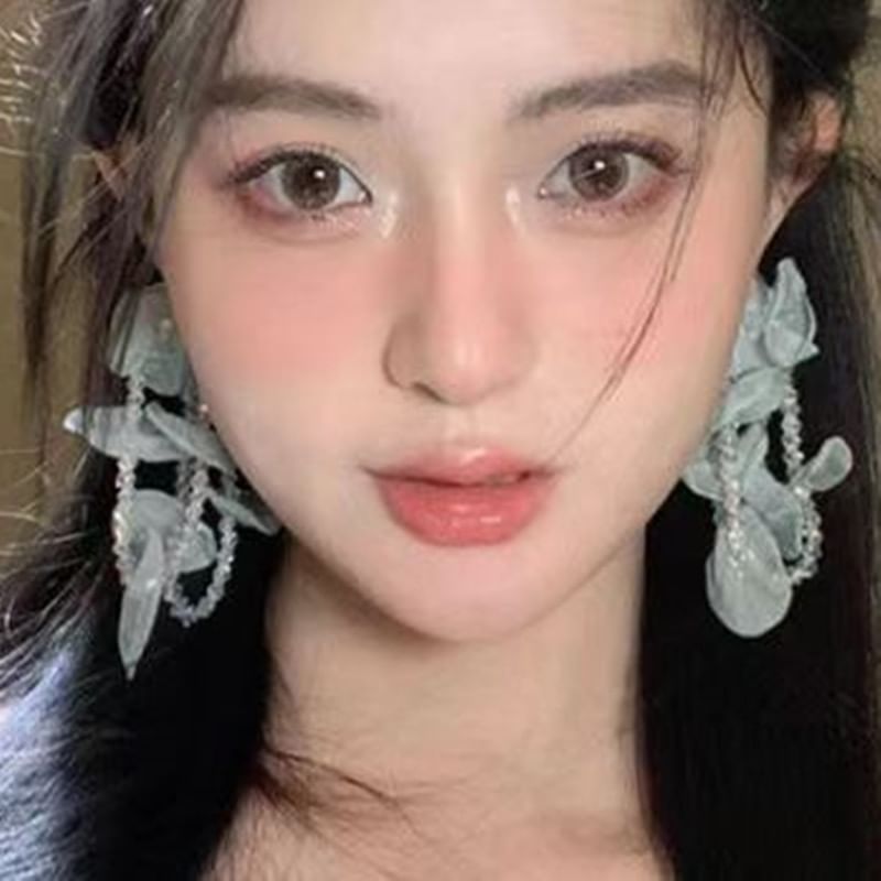 Drop Earring Beaded Mesh