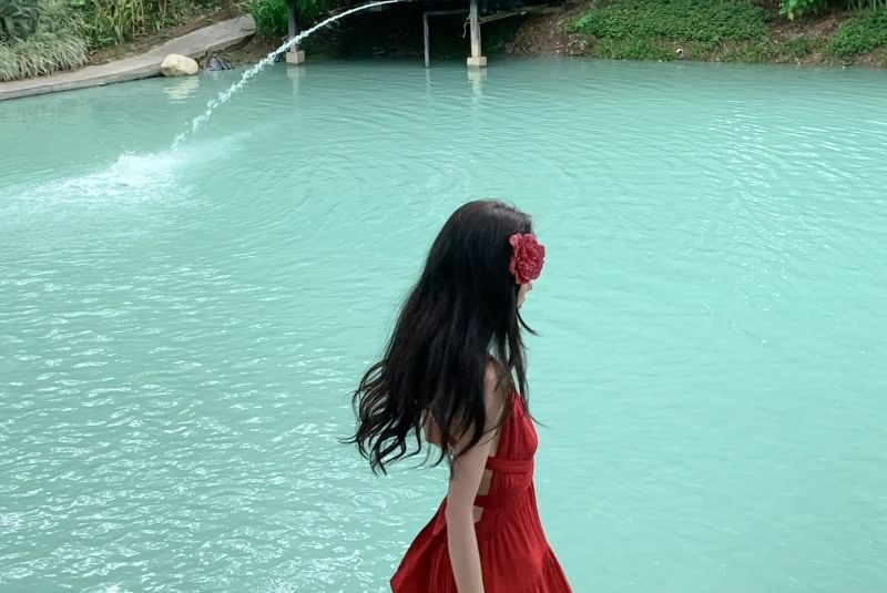 Plain V-Neck Sleeveless Dress A-Line Maxi