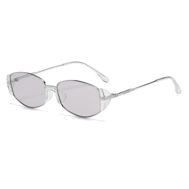 Lens Flat Sunglasses Shield