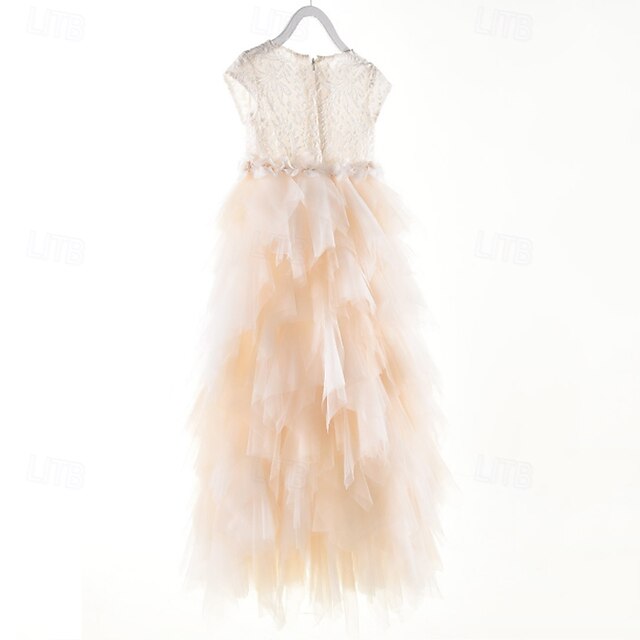 Princess Kid's Flower Girl Dress Girls'