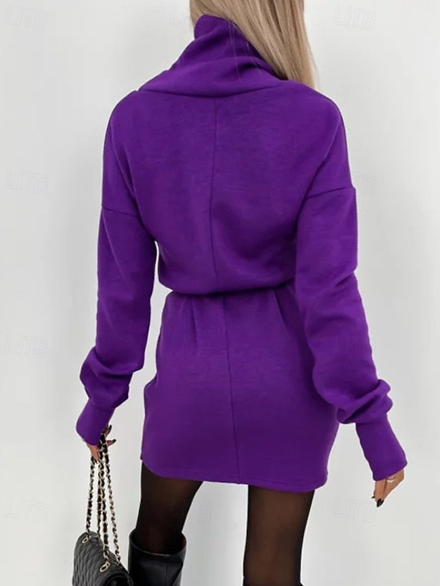 Women's Midi Dress Sweater Dress Sheath Dress Fashion