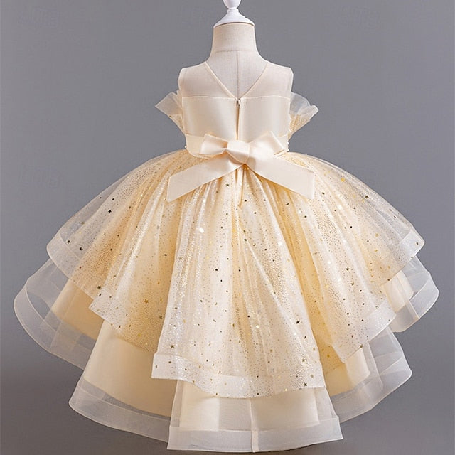 Dress Flower Girl Princess Girls' Kid's