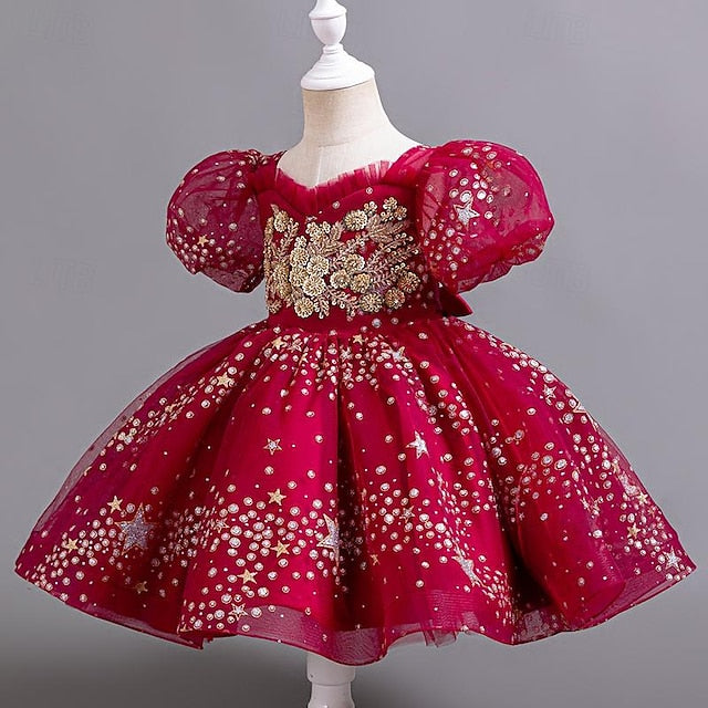 Party Dress Floral Girl Flower Girls' Kids Sequin