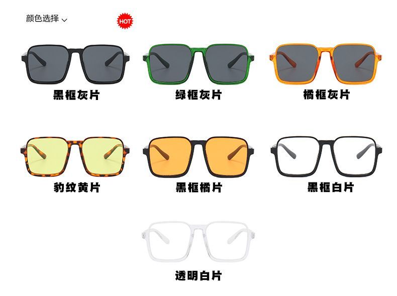 Sunglasses Resin Square