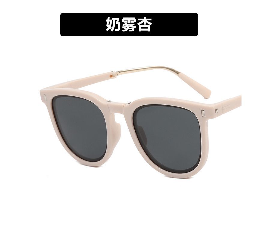 / Case Sunglasses Sunglass Retro Foldable