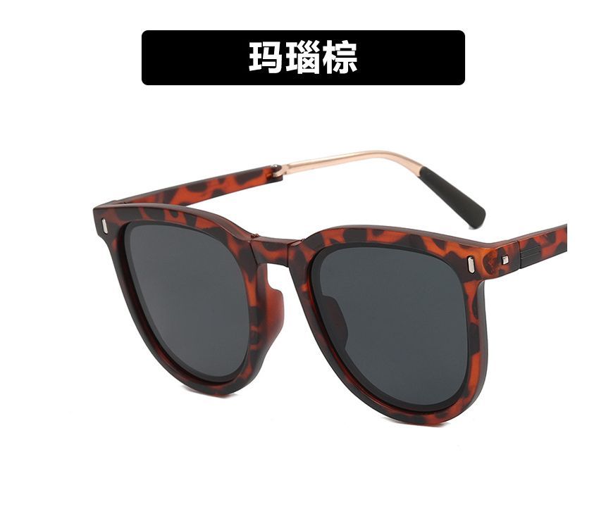 / Case Sunglasses Sunglass Retro Foldable