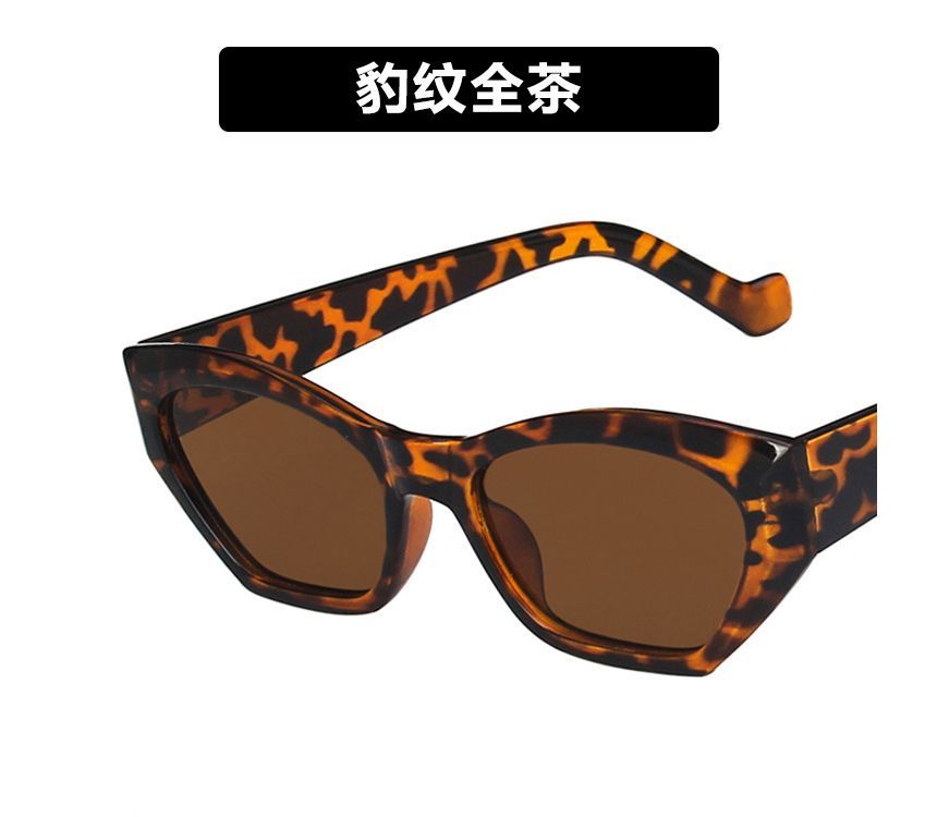 Eyeglasses Thick Resin