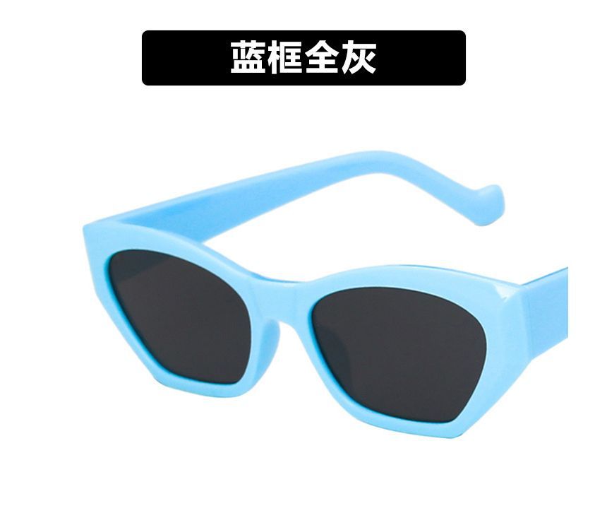 Eyeglasses Thick Resin