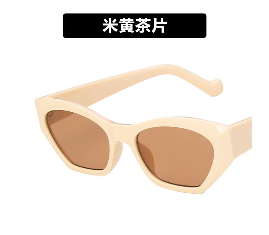 Eyeglasses Thick Resin