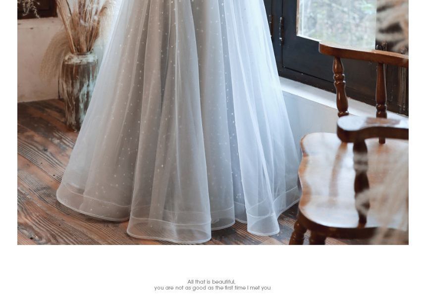 Panel Midi / Gown Mesh Cap-Sleeve Evening Sequin A-Line Dress