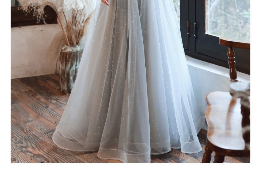 Panel Midi / Gown Mesh Cap-Sleeve Evening Sequin A-Line Dress