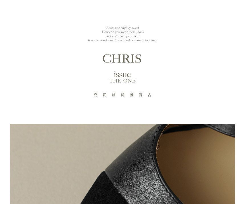 Flats Buckled Pointed Strap