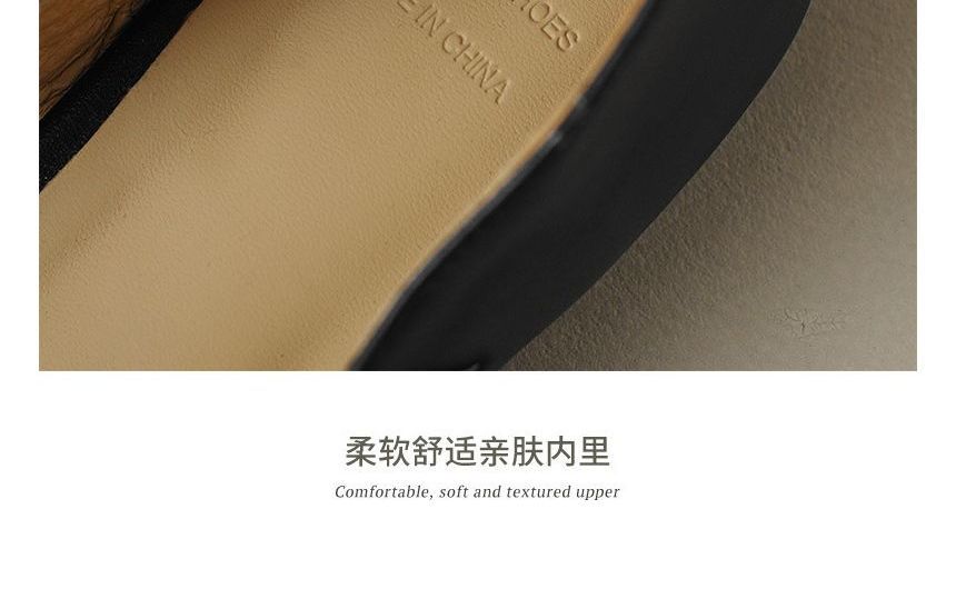 Flats Buckled Pointed Strap