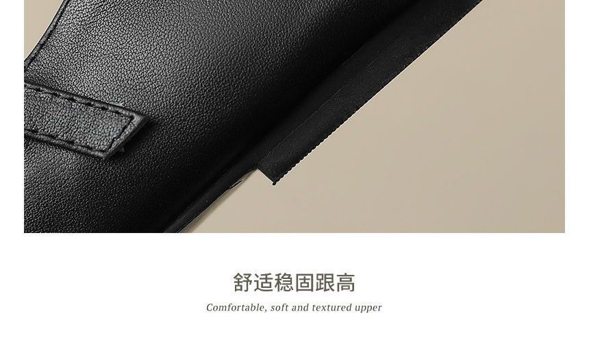 Flats Buckled Pointed Strap