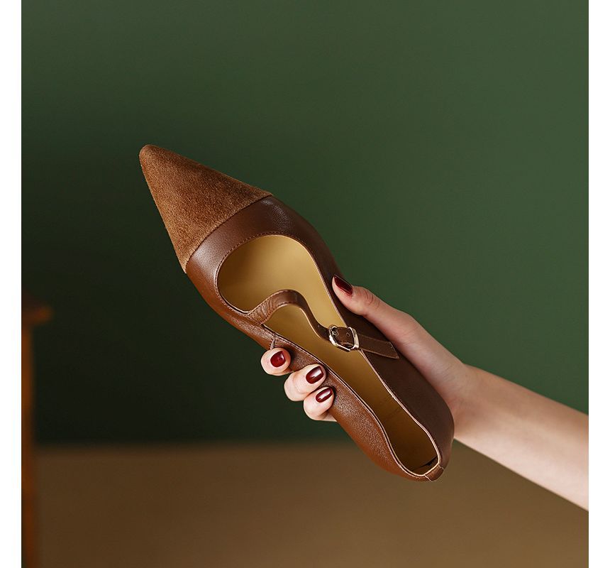 Flats Buckled Pointed Strap