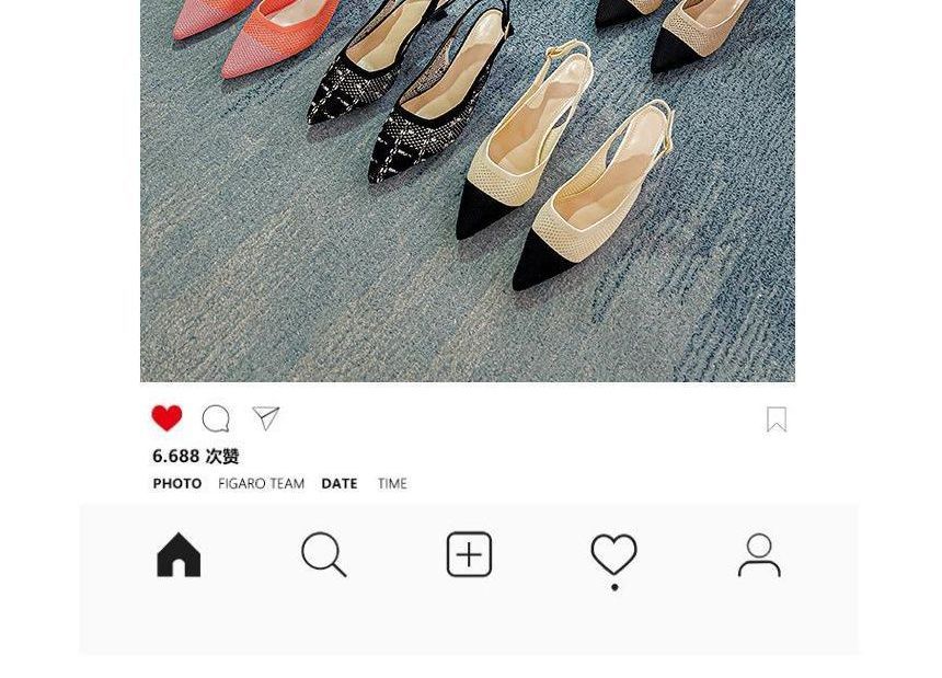 Heel Kitten Pointed Sandals Slingback