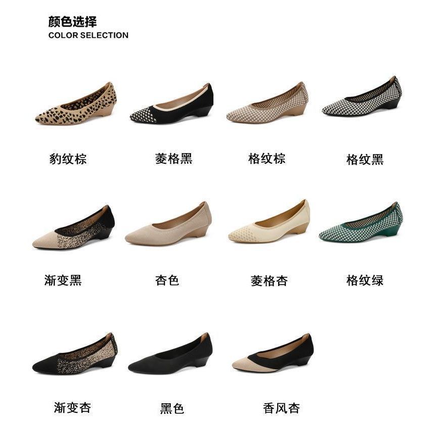 Pointed Pumps Wedge