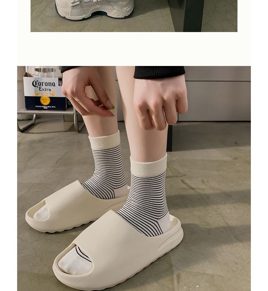 Short Socks Set