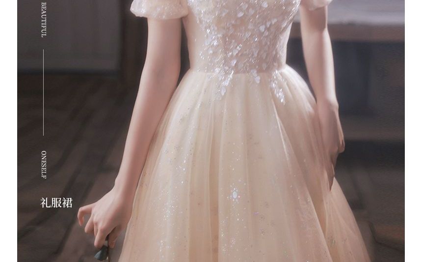 Short-Sleeve Mesh A-Line Evening Gown / Midi Evening Dress