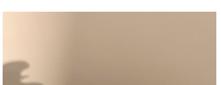 Bead Hair (Various Designs) Clip Acrylic 2: Set of