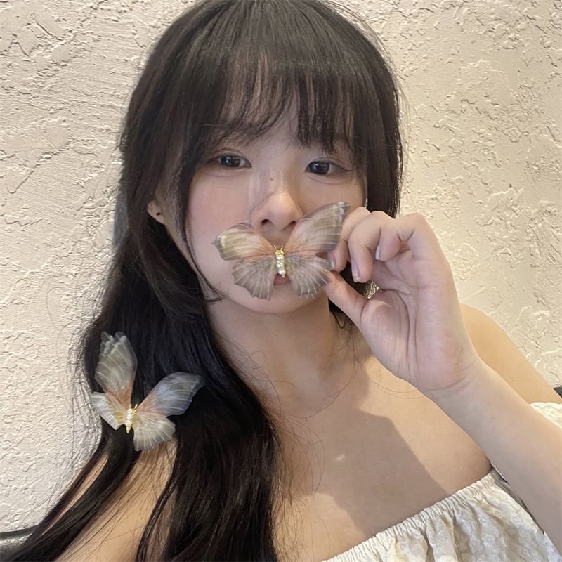 Hair Butterfly Clip Acrylic