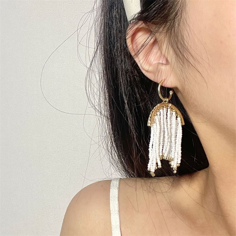 Beaded Fringed Earring