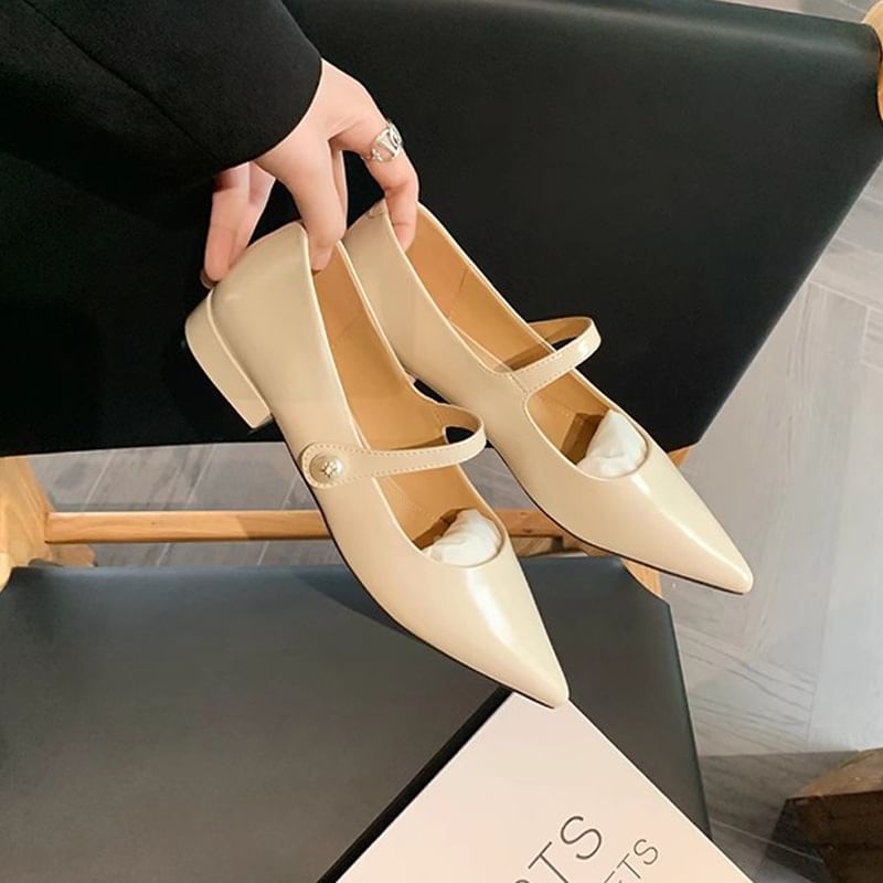 Mary Heel Low Pointy Pumps Jane