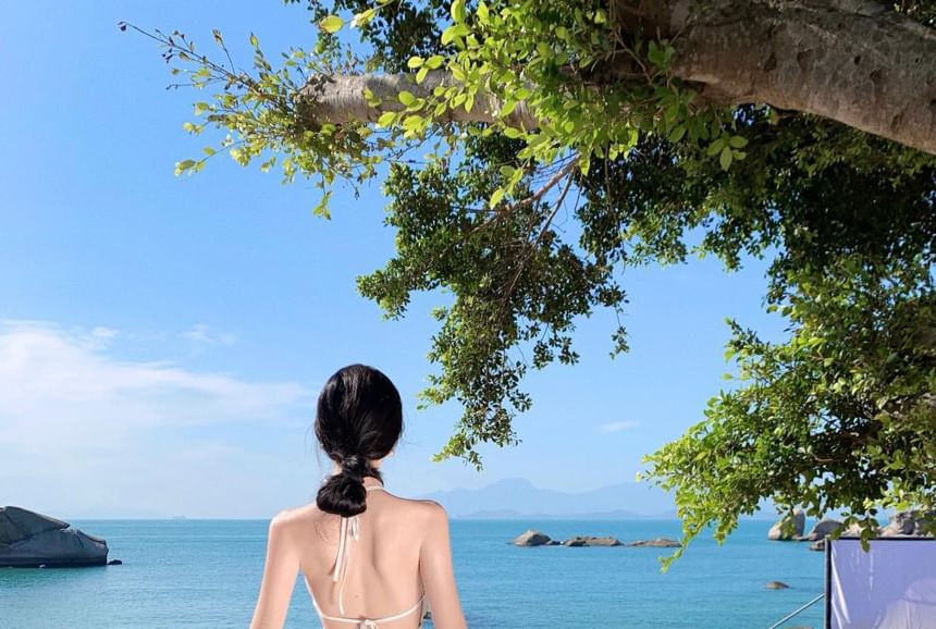 Embroidered Dress Halter Midi Neck A-Line