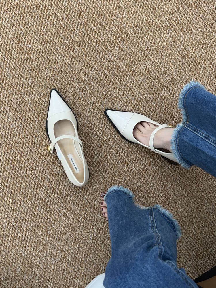 Pointed Chunky Jane Toe Heel Shoes Mary
