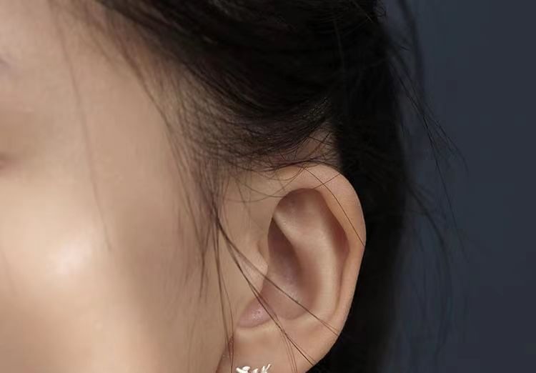 Asymmetrical Leaf Ear Stud