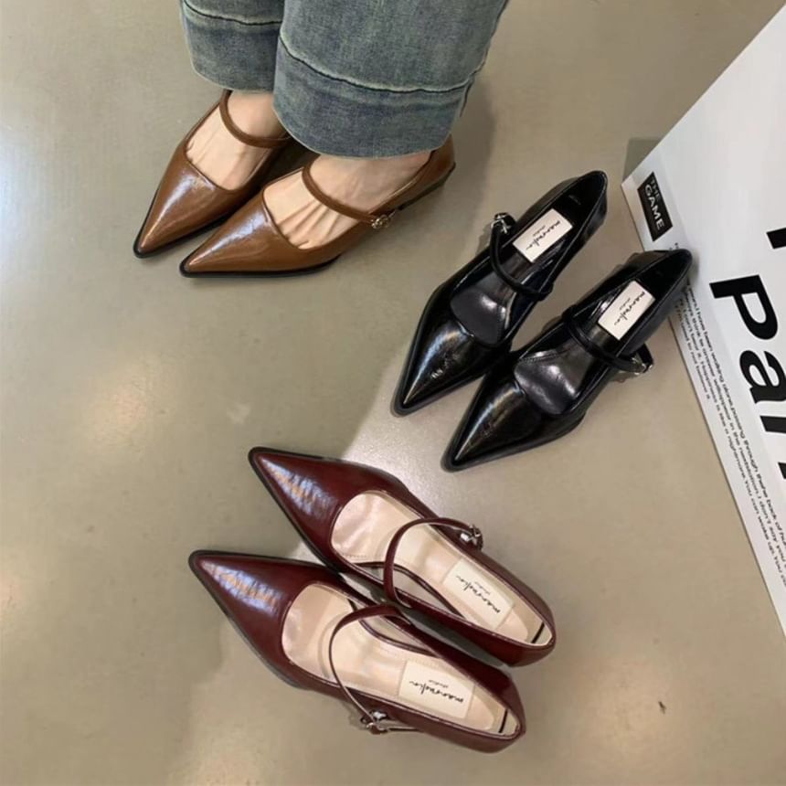 Mary Pointy Pumps Jane