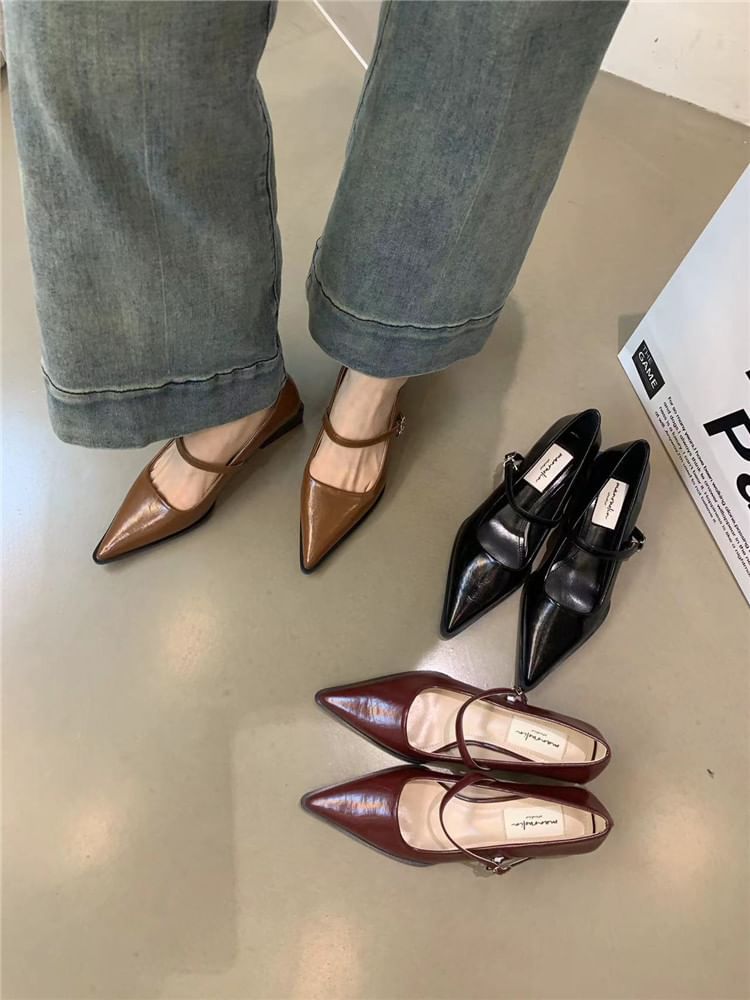Mary Pointy Pumps Jane