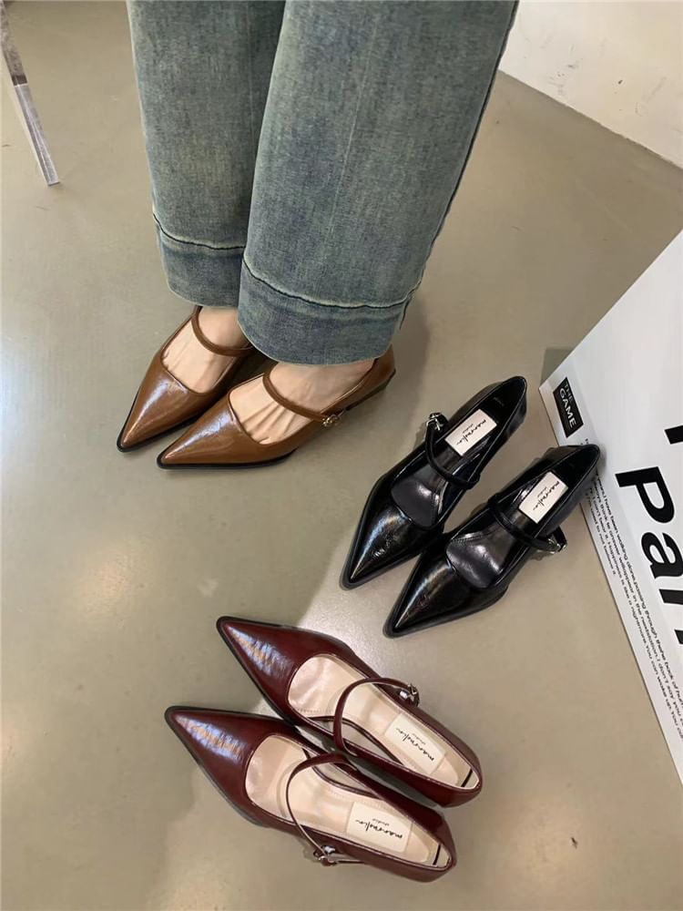 Mary Pointy Pumps Jane