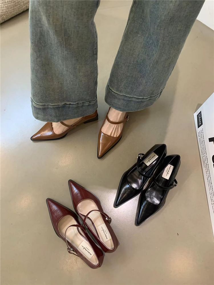 Mary Pointy Pumps Jane