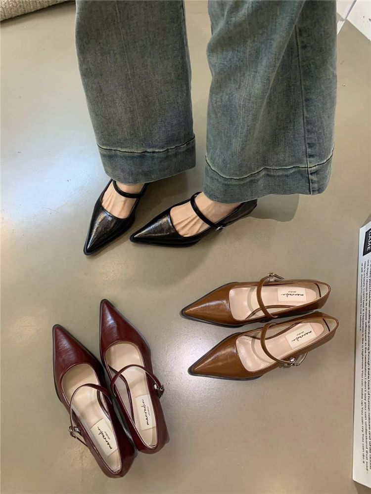 Mary Pointy Pumps Jane