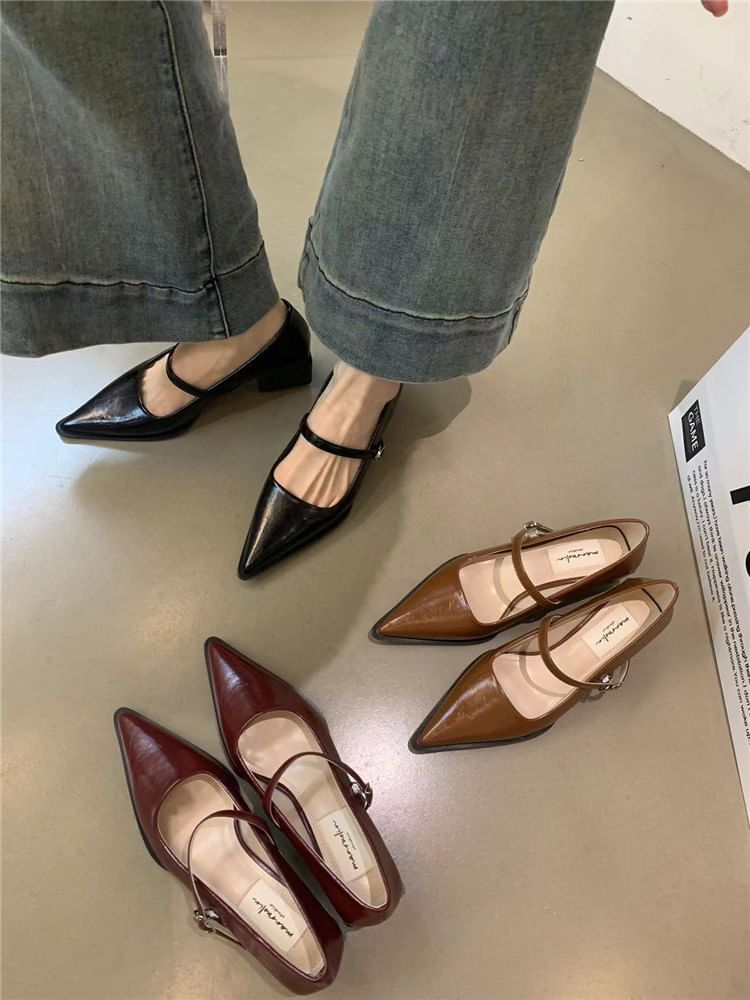 Mary Pointy Pumps Jane
