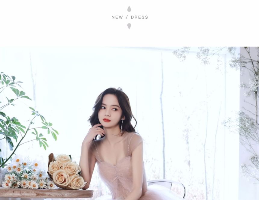 Mesh Evening A-Line Gown Strapless