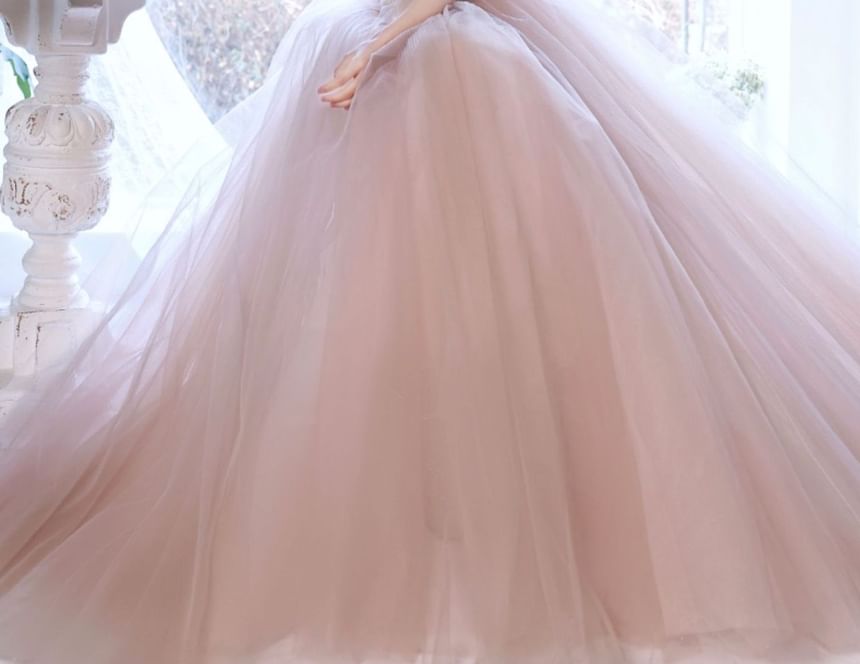 Mesh Evening A-Line Gown Strapless