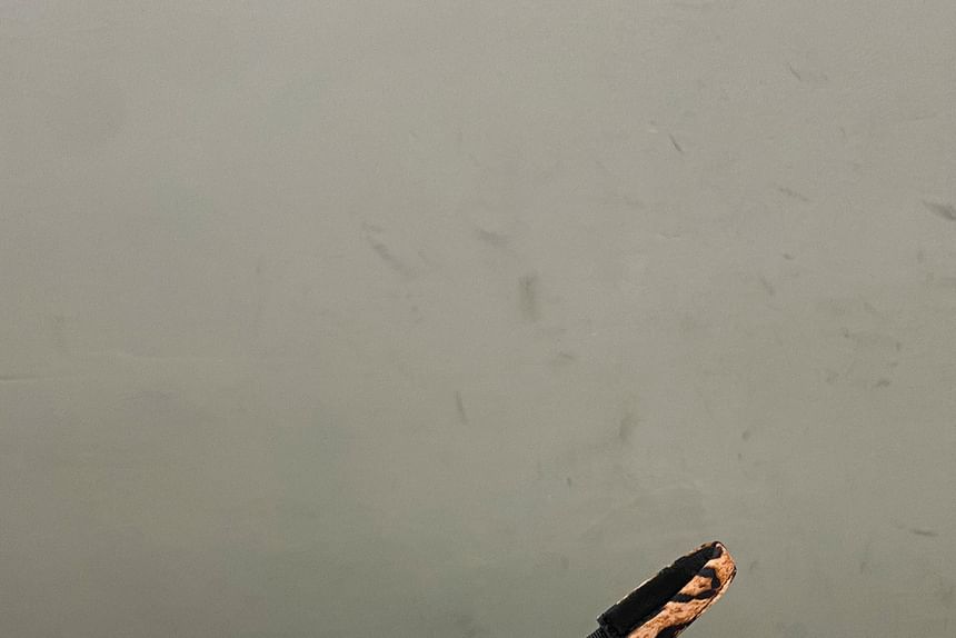 Leopard Slingback Print Heel Mules Kitten