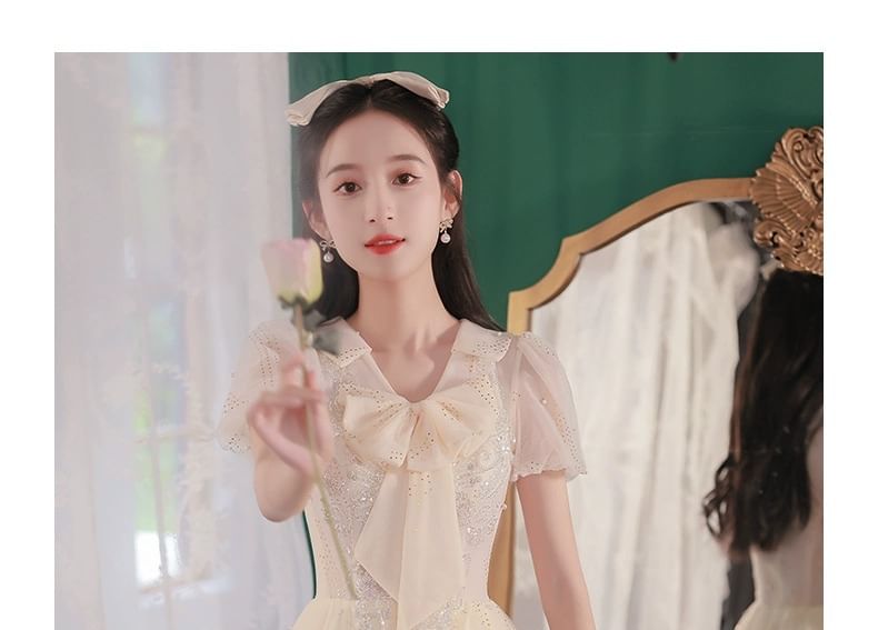 Short-Sleeve Ribbon Neck Mesh A-Line Evening Gown