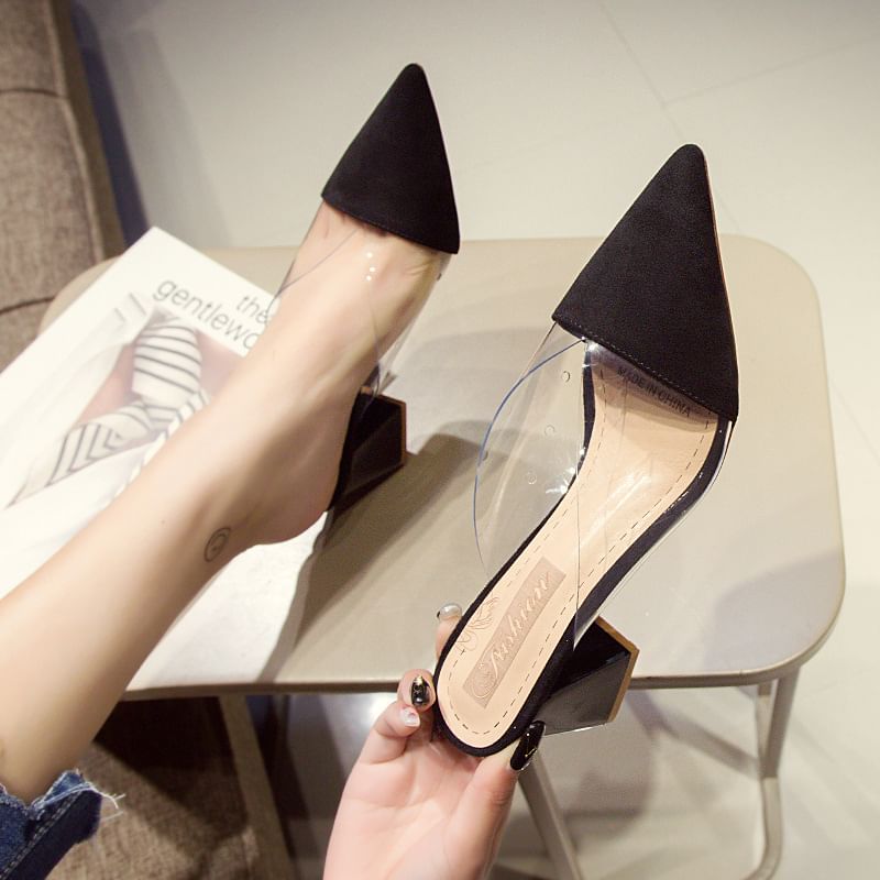 Block Panel Mules Toe Heel Transparent Pointed