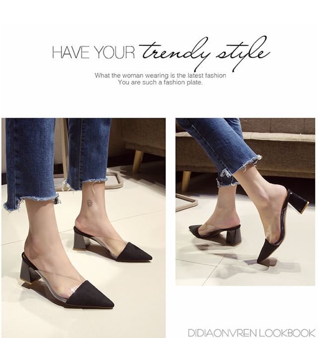 Block Panel Mules Toe Heel Transparent Pointed