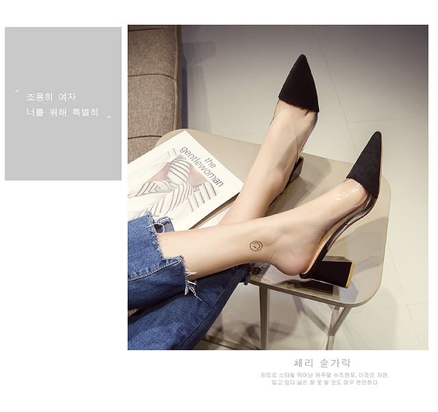 Block Panel Mules Toe Heel Transparent Pointed