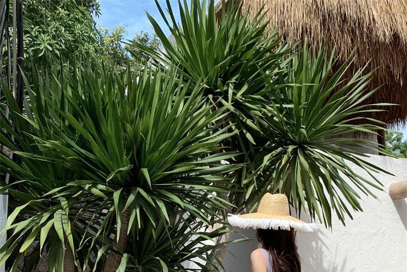 Dress Maxi Spaghetti Striped Square Ruffle Strap Neck Sun