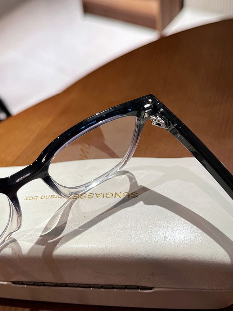 Frame Eyeglasses Vintage