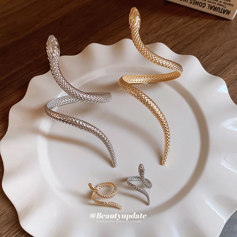Set: + Ring Bangle Snake