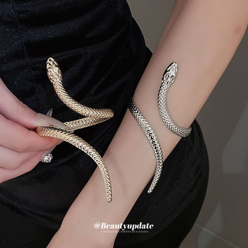 Set: + Ring Bangle Snake