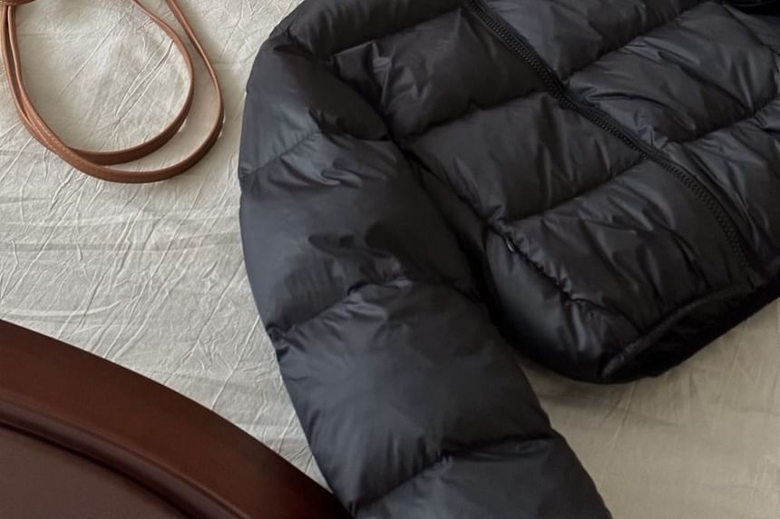 Hooded Plain Zip-Up Puffer Jacket