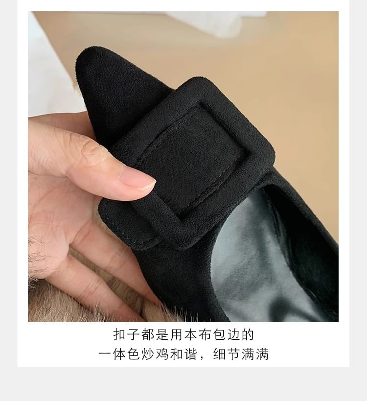 Flats Buckled Toe Pointed